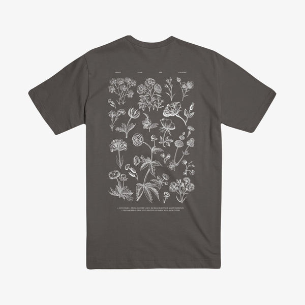 SAOSIN_STORE_MOCKS_JUNE2023_5B
